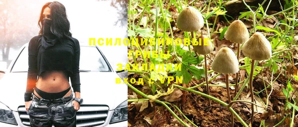 прущая мука Сясьстрой